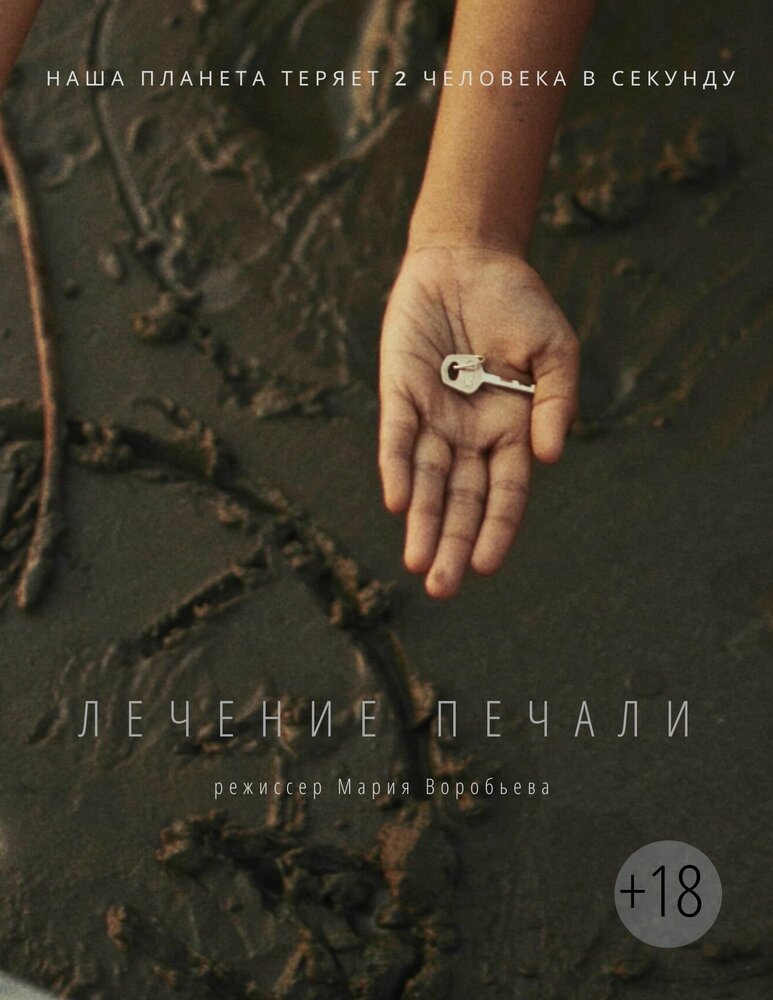 Лечение печали (2018) постер