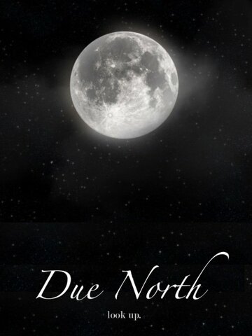 Due North (2014)